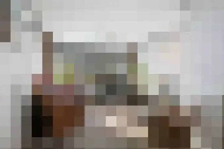 Achter de Hoven 57 Deventer thumbnail 5
