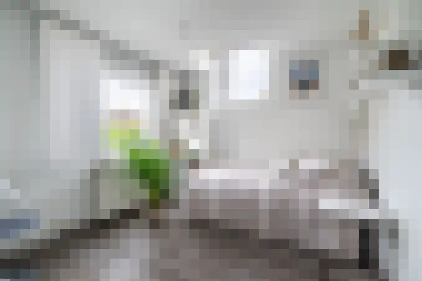 Achter de Hoven 59 Maastricht thumbnail 14