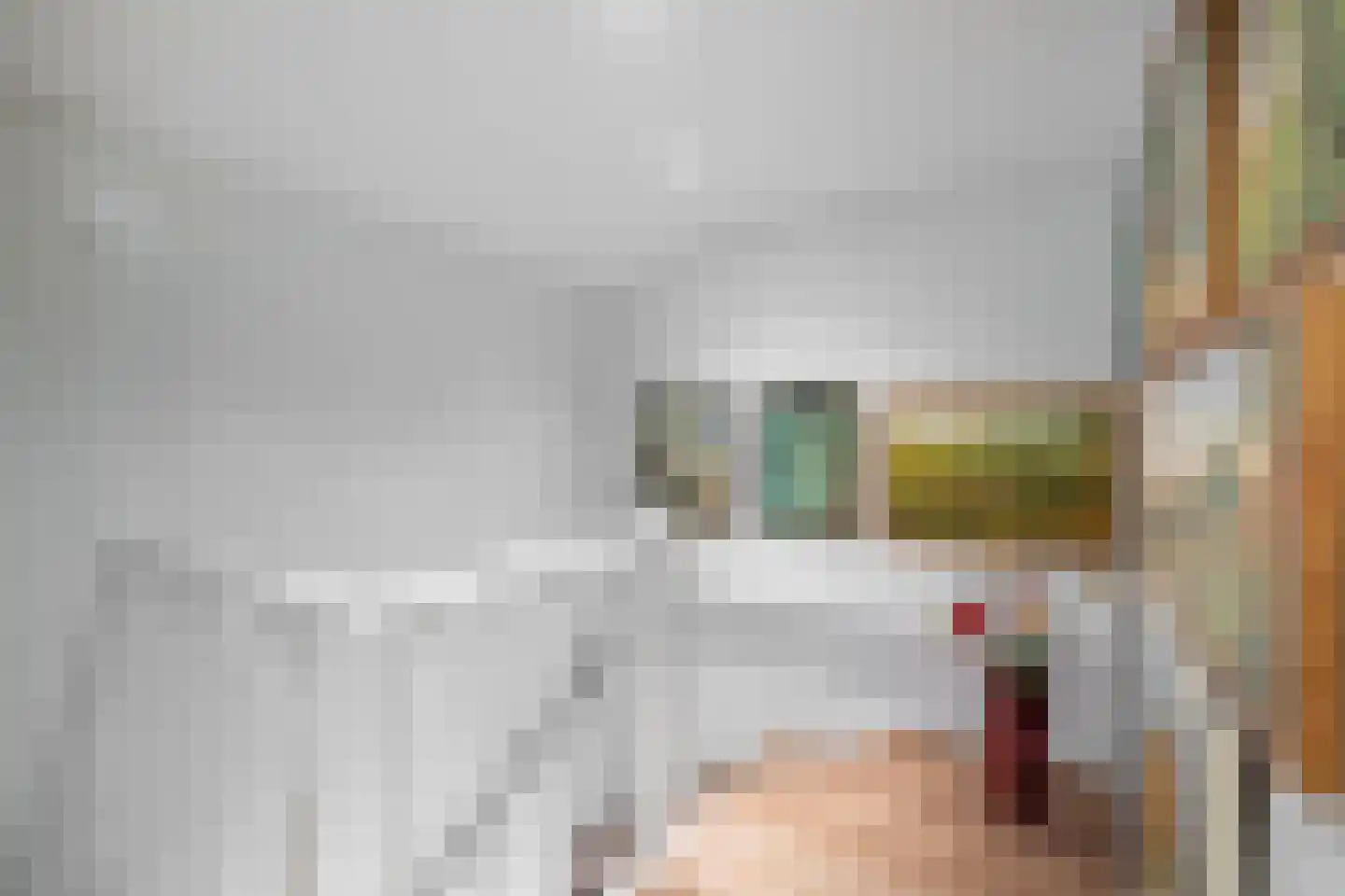 Achter de Hoven 59 Maastricht thumbnail 17