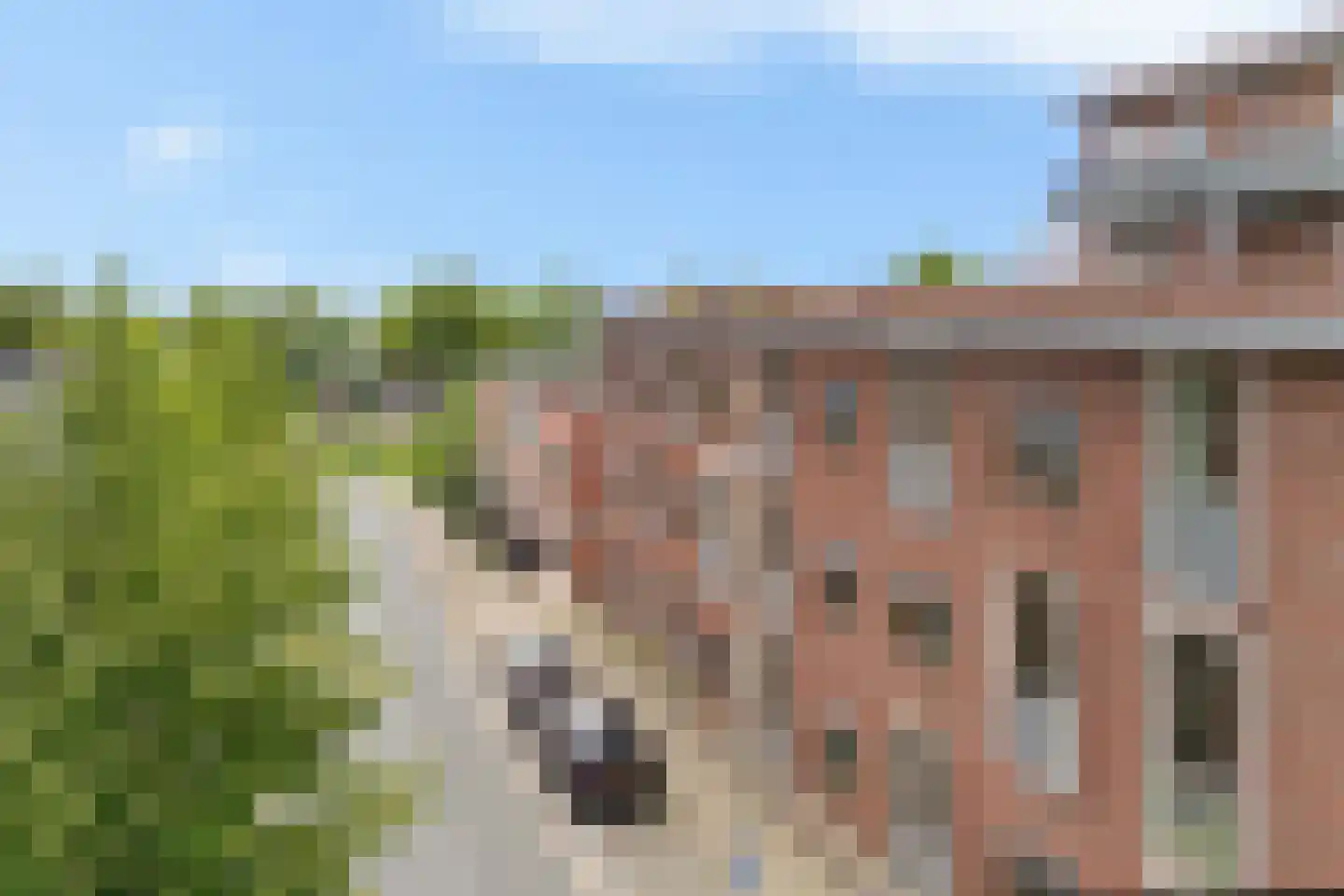 Achter de Hoven 66 b Leeuwarden thumbnail 21