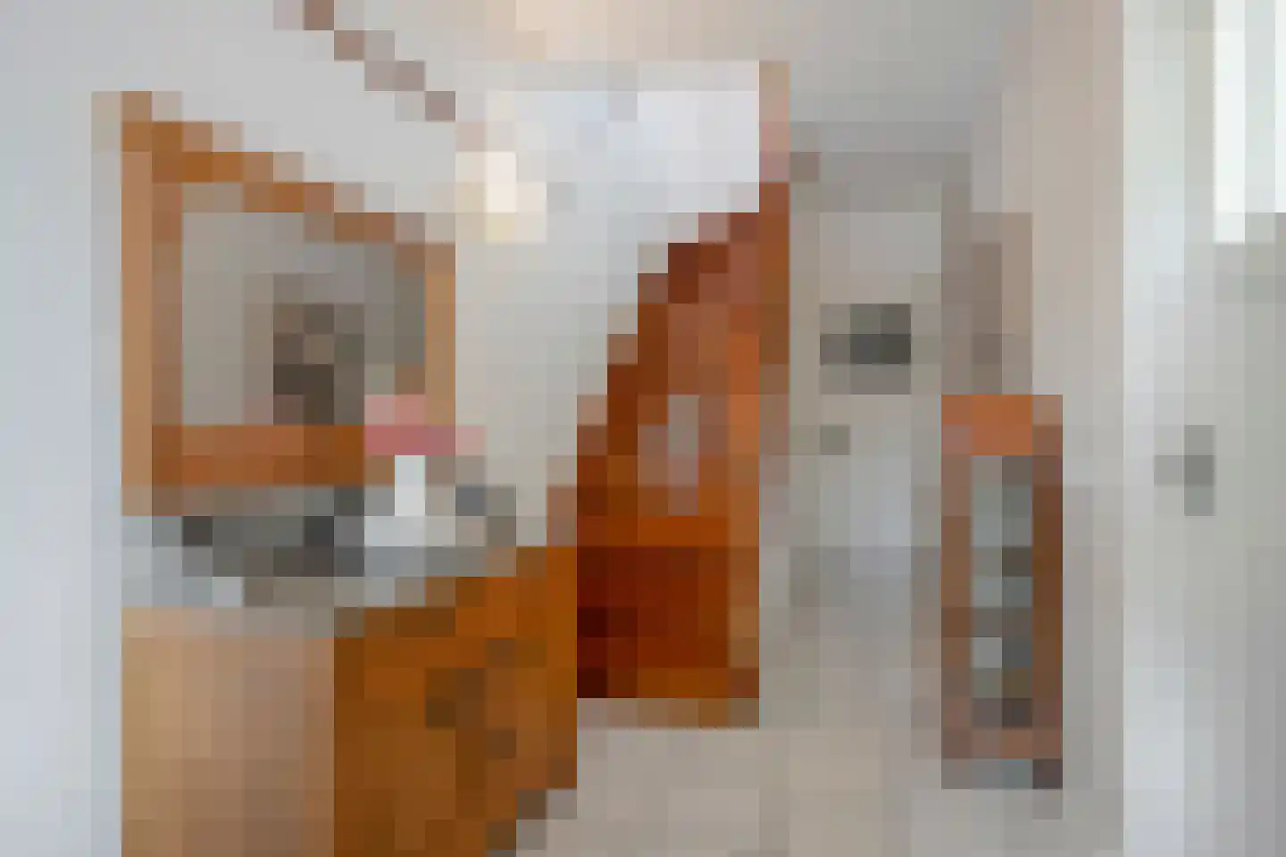 Achter de Hoven 67 Buchten thumbnail 8