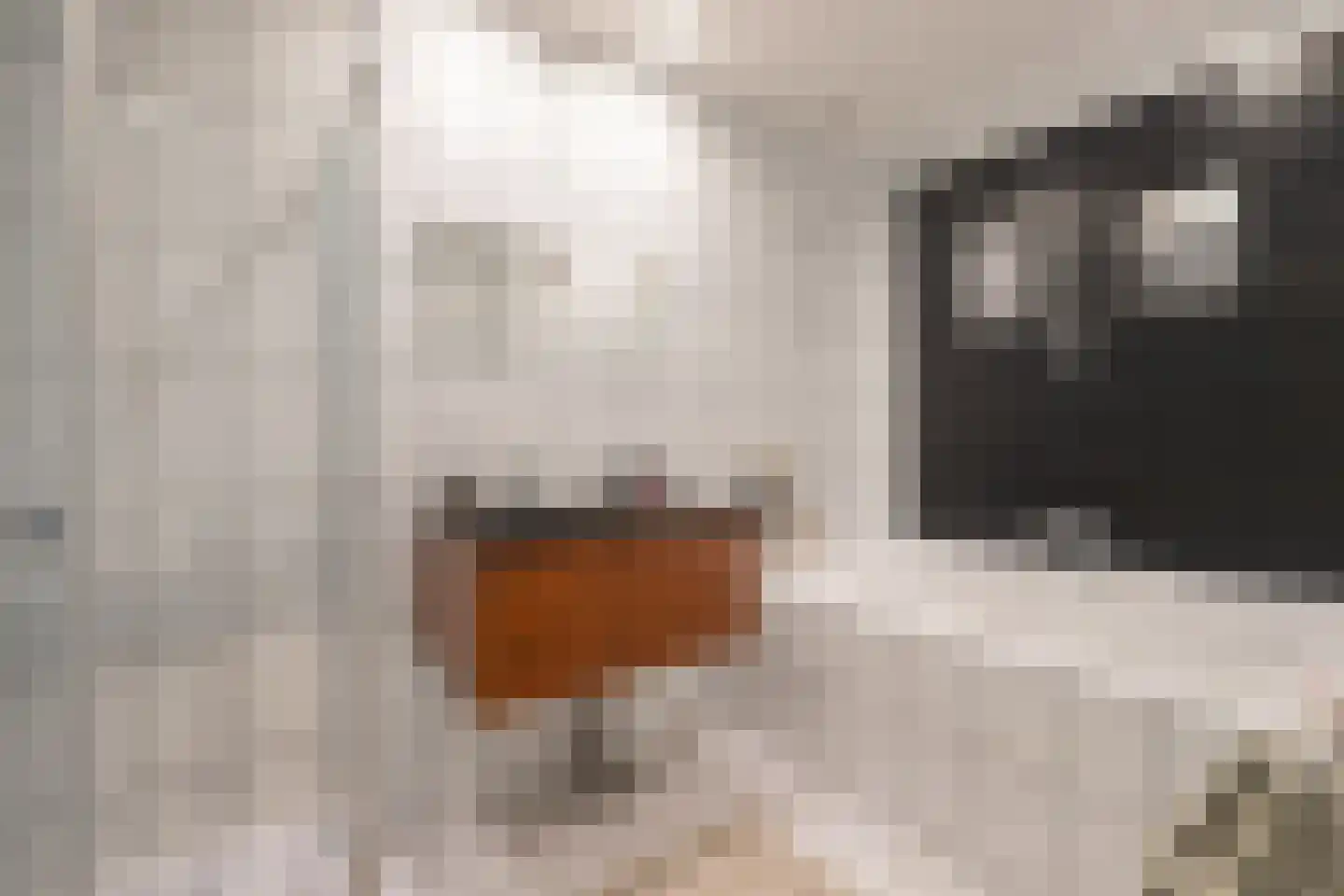 Achter de Hoven 7 Herten thumbnail 11