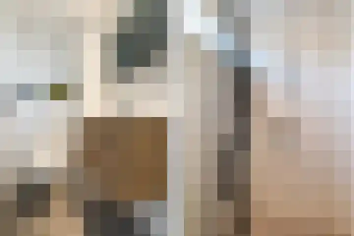 Achter de Hoven 7 Linne thumbnail 17
