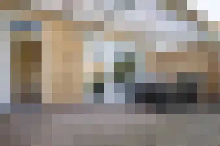 Achter de Hoven 7 Linne thumbnail 18