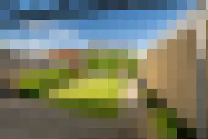 Achter de Hoven 7 Linne thumbnail 19