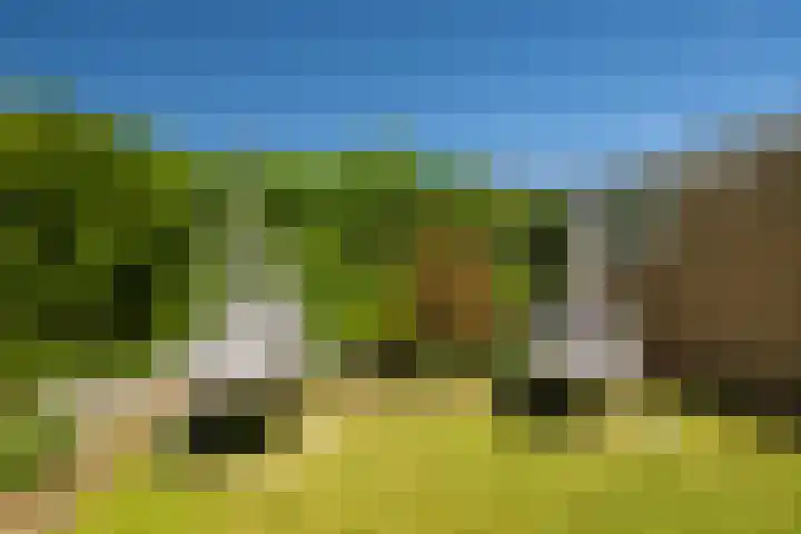 Achter de Hoven 7 Linne thumbnail 20