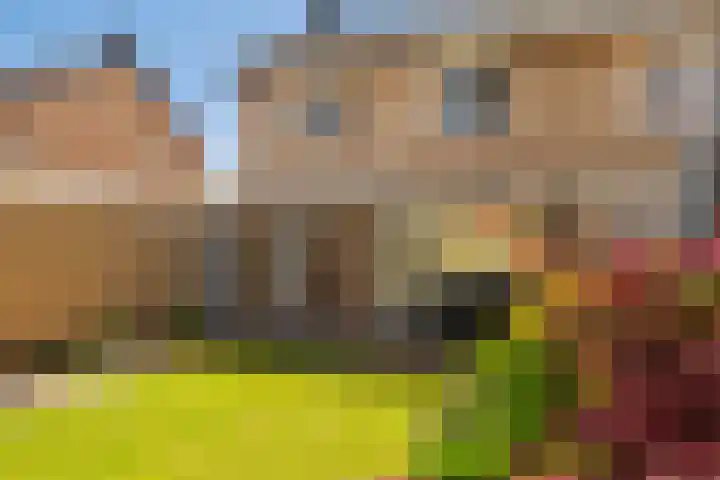 Achter de Hoven 7 Linne thumbnail 21