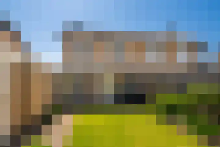 Achter de Hoven 7 Linne foto 3