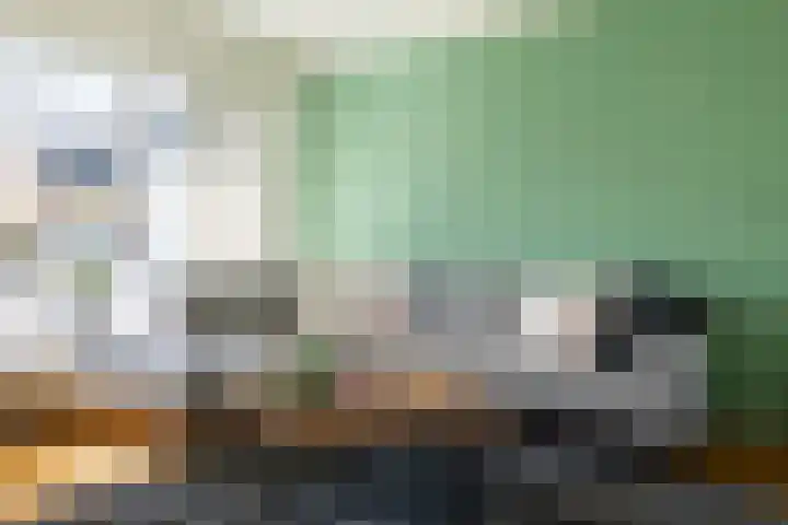 Achter de Hoven 7 Linne thumbnail 5