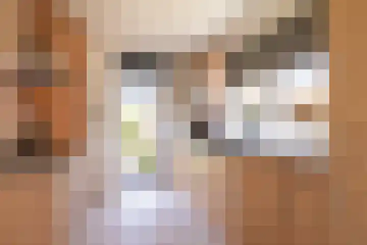Achter de Hoven 7 Linne thumbnail 8
