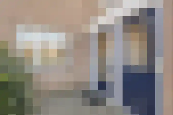 Achter de Hoven 78 Buchten thumbnail 33