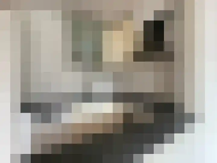 Achter de Hoven 78 Buchten thumbnail 7