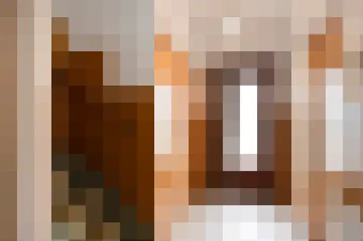 Achter de Hoven 78 Buchten thumbnail 9