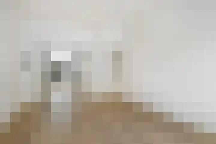 Achter de Hoven 79 Leeuwarden thumbnail 16