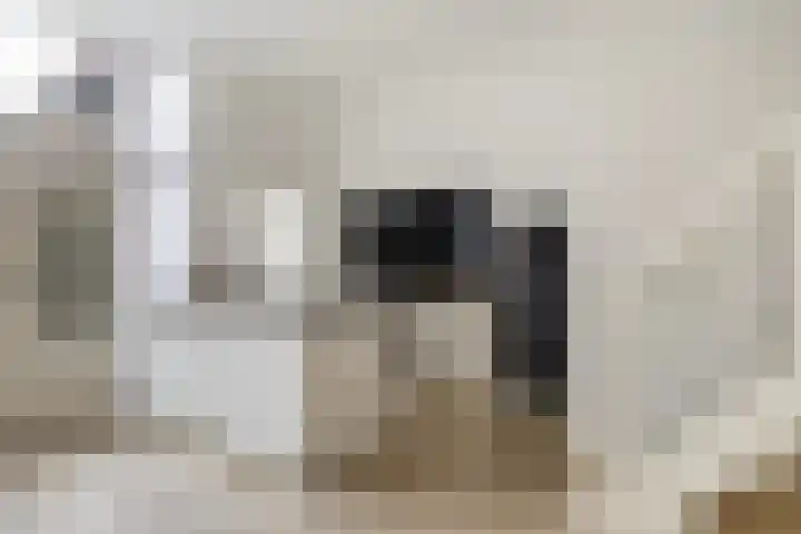 Achter de Hoven 79 Leeuwarden thumbnail 21