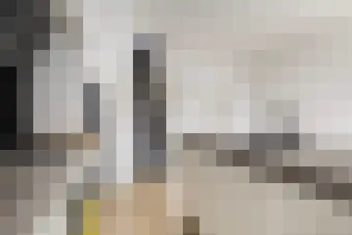 Achter de Hoven 79 Leeuwarden thumbnail 22