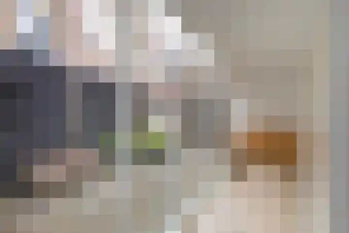 Achter de Hoven 79 Leeuwarden thumbnail 25