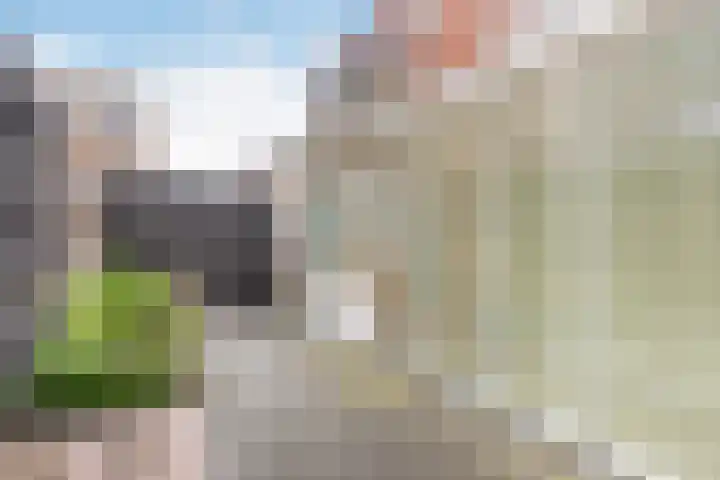 Achter de Hoven 79 Leeuwarden thumbnail 27