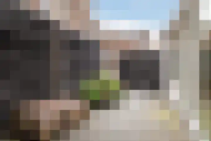 Achter de Hoven 79 Leeuwarden thumbnail 28