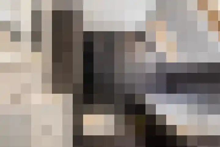 Achter de Hoven 79 Leeuwarden thumbnail 37