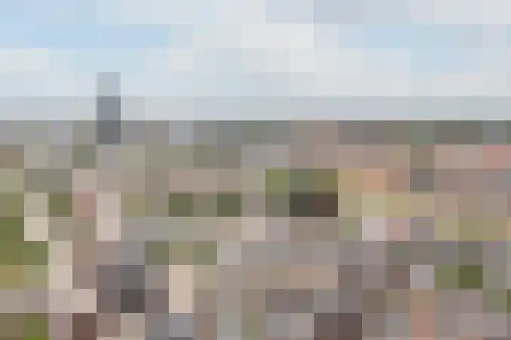 Achter de Hoven 79 Leeuwarden thumbnail 5