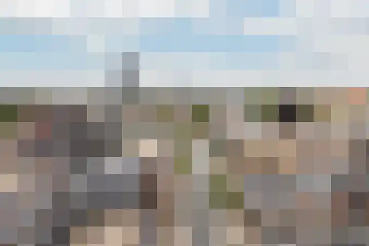 Achter de Hoven 79 Leeuwarden thumbnail 6