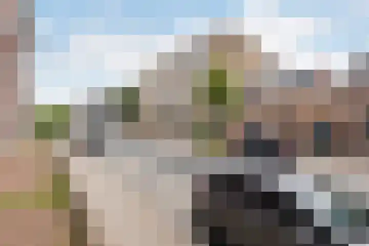 Achter de Hoven 79 Leeuwarden thumbnail 7