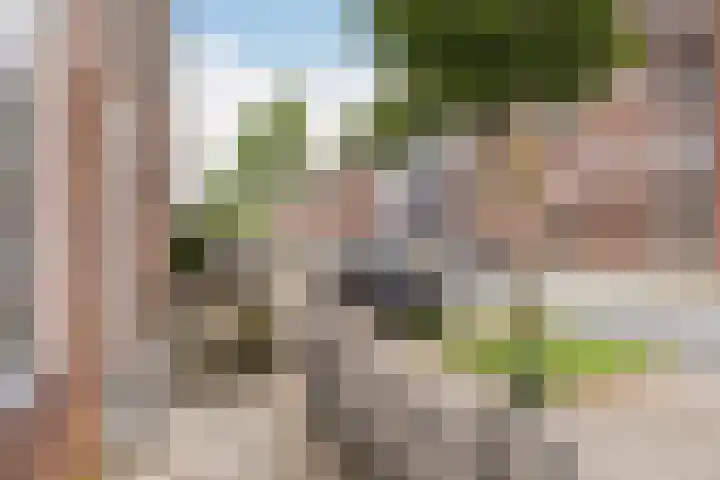 Achter de Hoven 79 Leeuwarden thumbnail 8