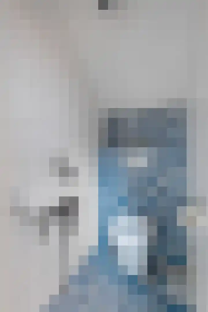 Achter de Hoven 8 Noordlaren thumbnail 17