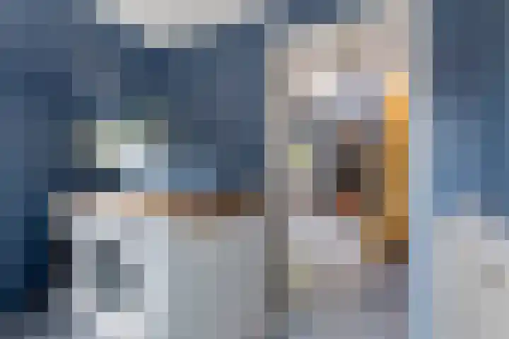 Achter de Hoven 8 Noordlaren thumbnail 18