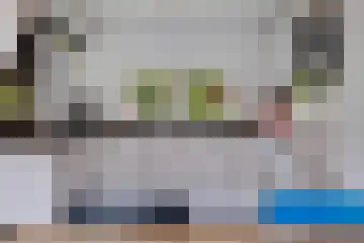 Achter de Hoven 8 Noordlaren thumbnail 21