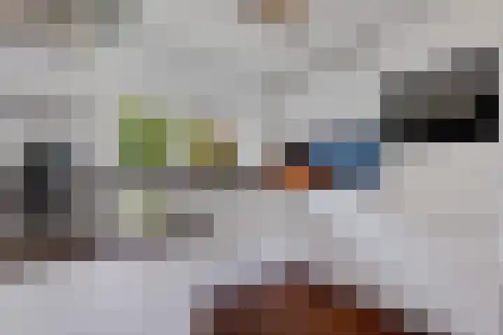 Achter de Hoven 8 Noordlaren thumbnail 22