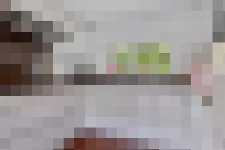 Achter de Hoven 8 Noordlaren thumbnail 23