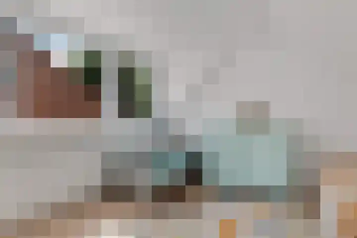 Achter de Hoven 8 Noordlaren thumbnail 32