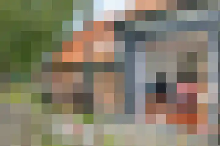 Achter de Hoven 8 Noordlaren thumbnail 36