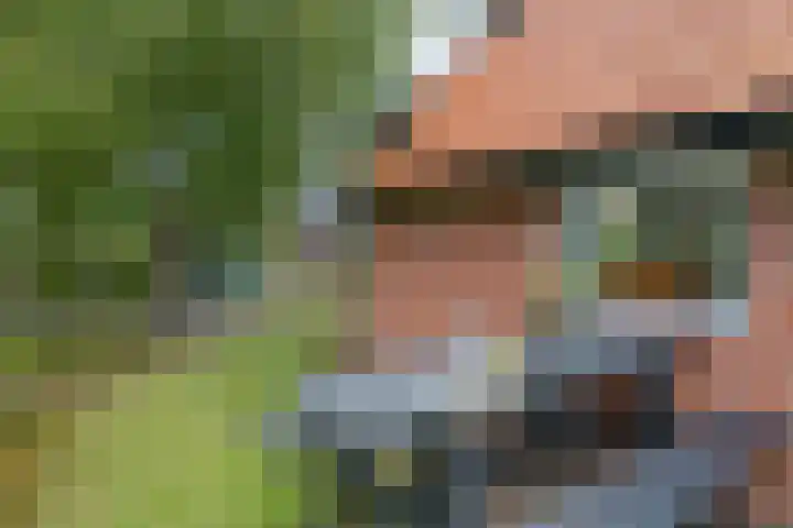 Achter de Hoven 8 Noordlaren thumbnail 38