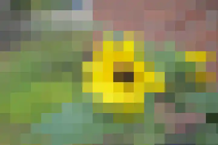 Achter de Hoven 8 Noordlaren thumbnail 39