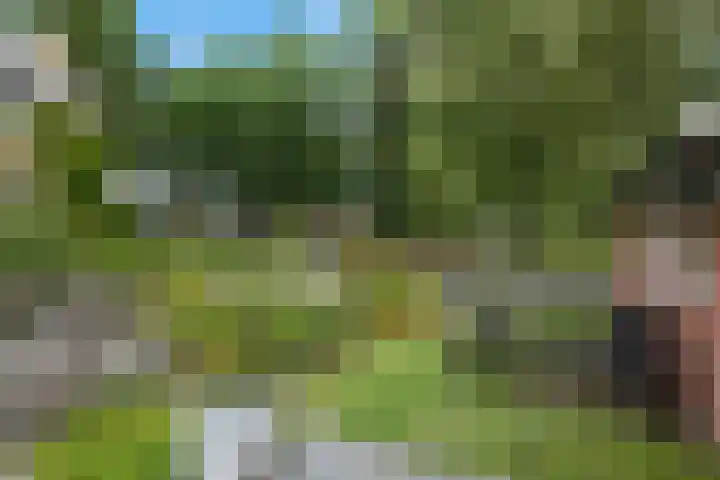 Achter de Hoven 8 Noordlaren thumbnail 40