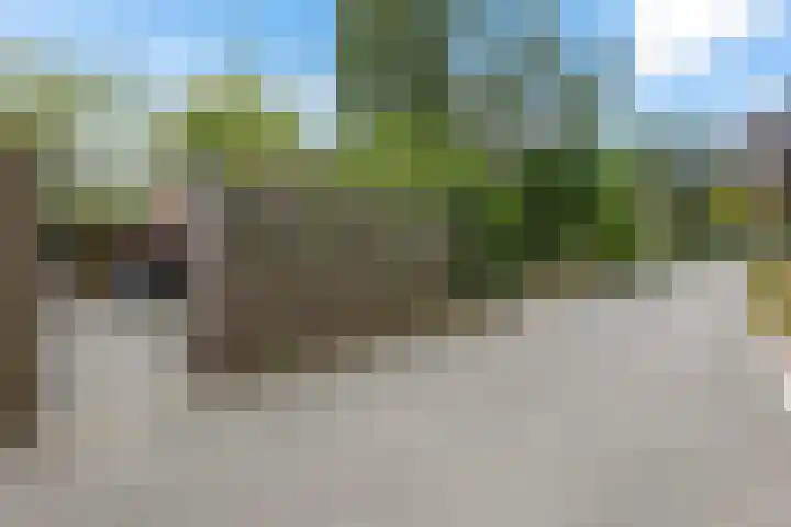 Achter de Hoven 8 Noordlaren thumbnail 42