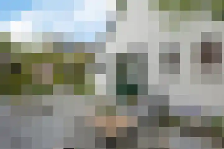 Achter de Hoven 8 Noordlaren thumbnail 45