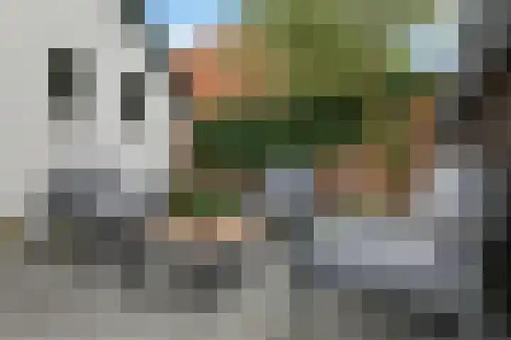 Achter de Hoven 8 Noordlaren thumbnail 46