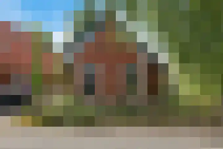 Achter de Hoven 8 Noordlaren thumbnail 48