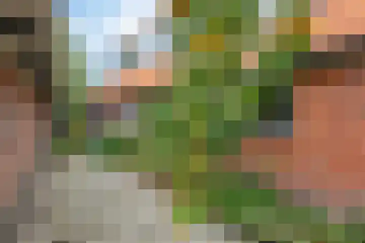 Achter de Hoven 8 Noordlaren thumbnail 49