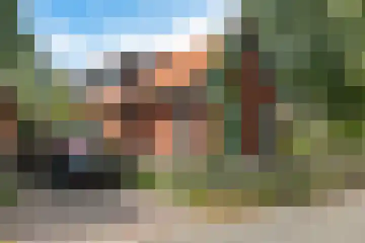 Achter de Hoven 8 Noordlaren thumbnail 5