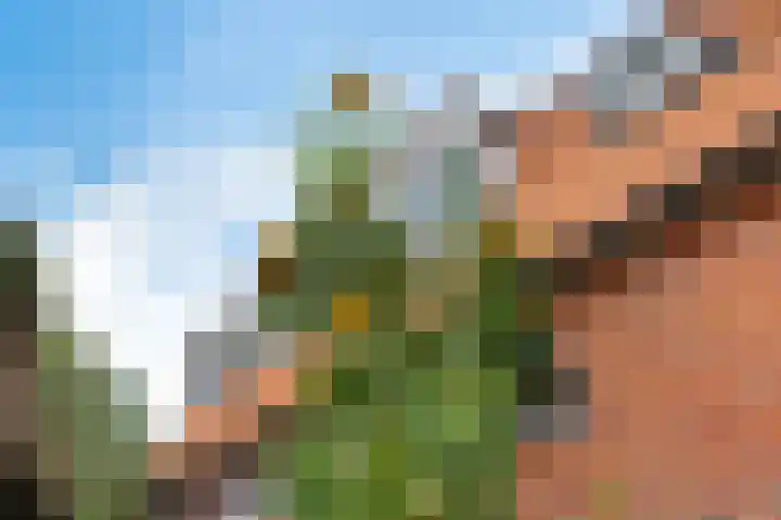 Achter de Hoven 8 Noordlaren thumbnail 50