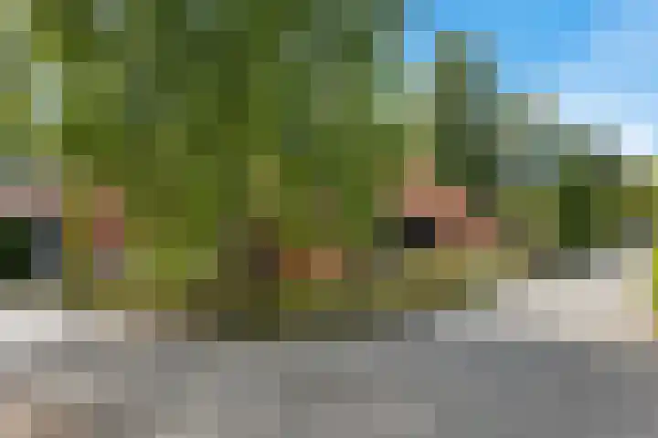 Achter de Hoven 8 Noordlaren thumbnail 51