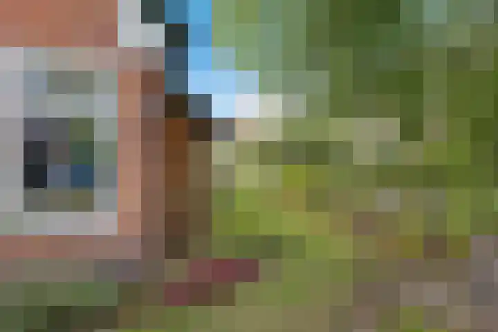 Achter de Hoven 8 Noordlaren thumbnail 53