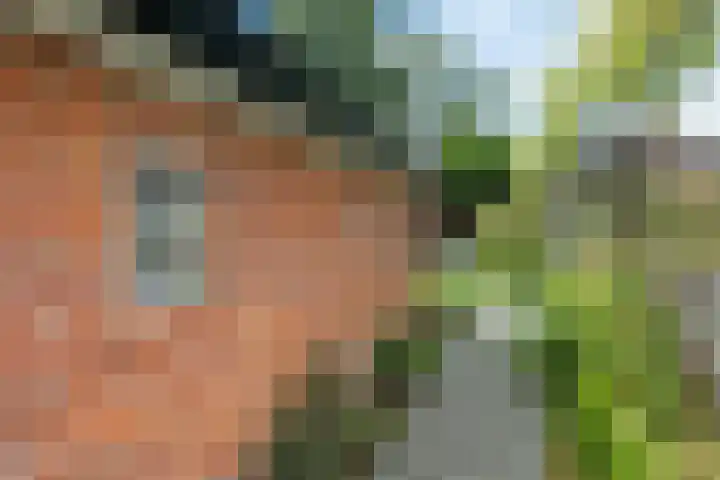 Achter de Hoven 8 Noordlaren thumbnail 54