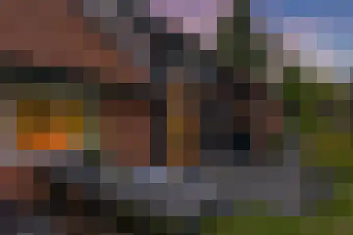 Achter de Hoven 8 Noordlaren thumbnail 55