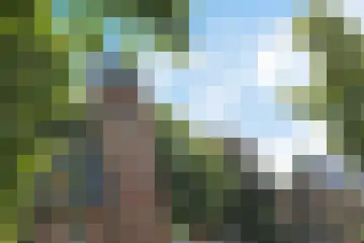 Achter de Hoven 8 Noordlaren thumbnail 57